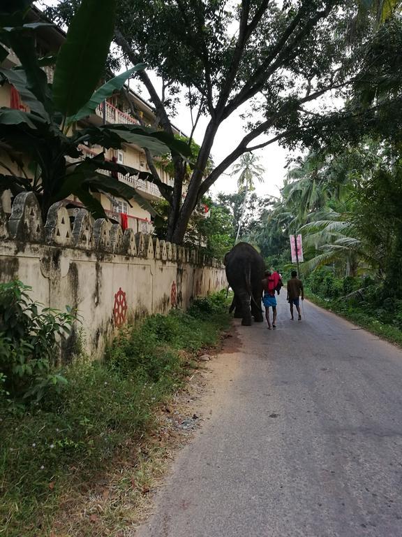 Guesthouse Dilush Beruwala Exterior photo